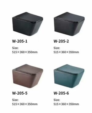 205 W205 square ceramics conceal toilet