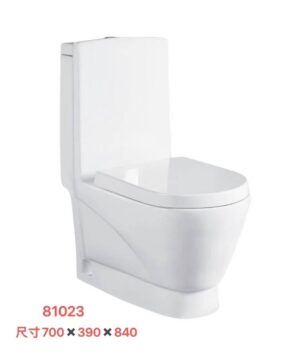 81023 81023 Grade AAA ceramics toilet