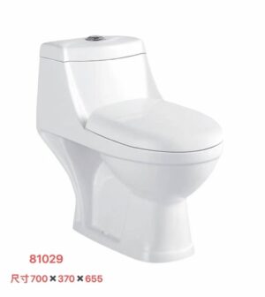 81029 81029 Grade AAA ceramics toilet