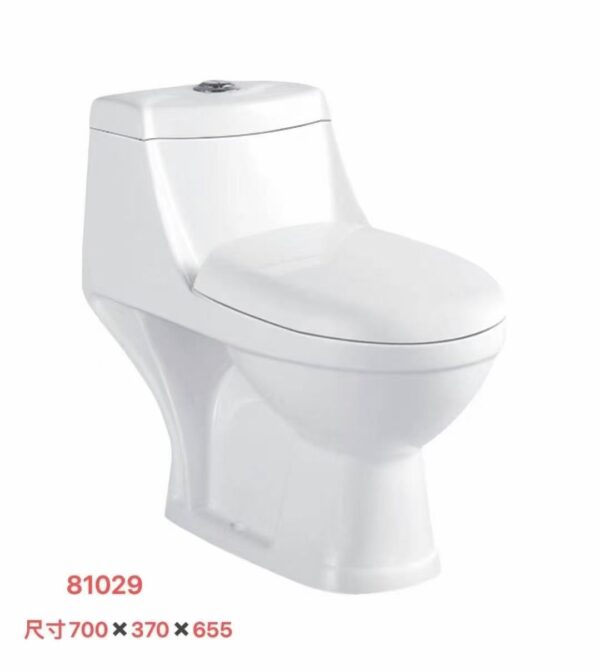 81029 81029 Grade AAA ceramics toilet