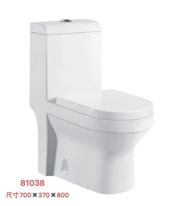 81038 81031 Grade AAA ceramics toilet