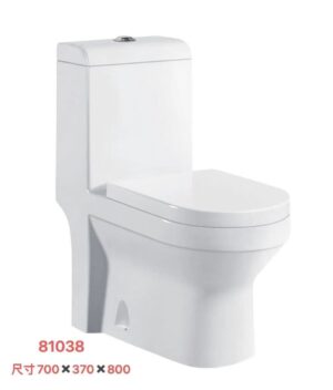 81038 81038 Grade AAA ceramics toilet