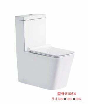81064 81064 Grade AAA ceramics toilet