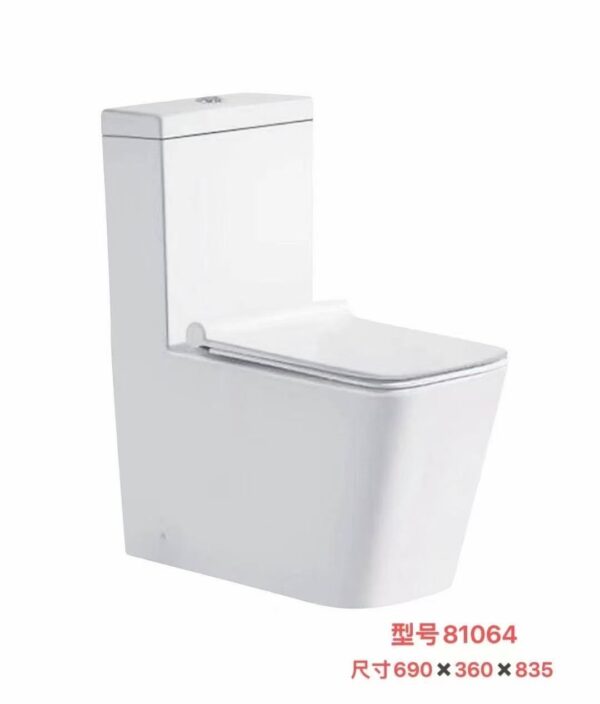 81064 81064 Grade AAA ceramics toilet
