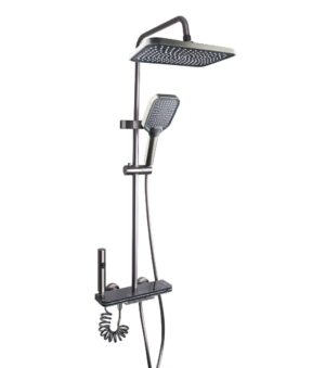 8895 8895 light and temperature shower