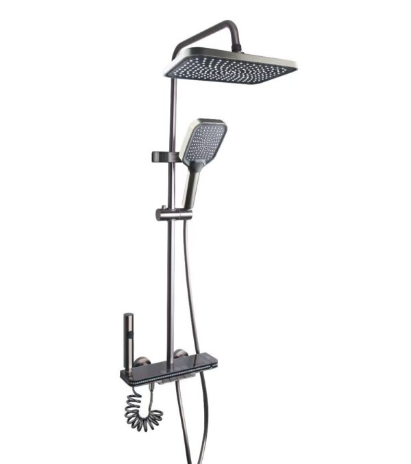 8895 8895 light and temperature shower
